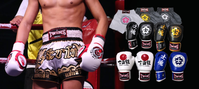 TWINS JAPAN】グローブ・ミット等ボクシング用品の通販サイト